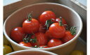 【ふるさと納税】どっさりトマトの満喫セット　トマト好きのかたにおススメ！　pf-09