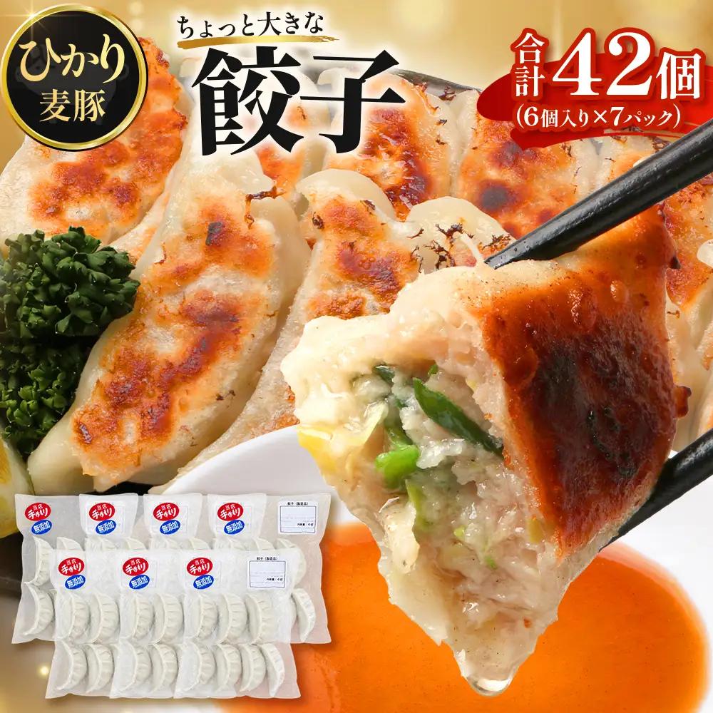 鹿児島県産 ひかり麦豚 ＼＼ちょっと大きな  餃子 42個セット／／ HM-707 | ぎょうざ ギョウザ 食べ応え抜群 焼き餃子 水餃子 おかず お弁当 冷凍 産地直送 鹿児島県 南大隅町 ひかり麦豚直売所
