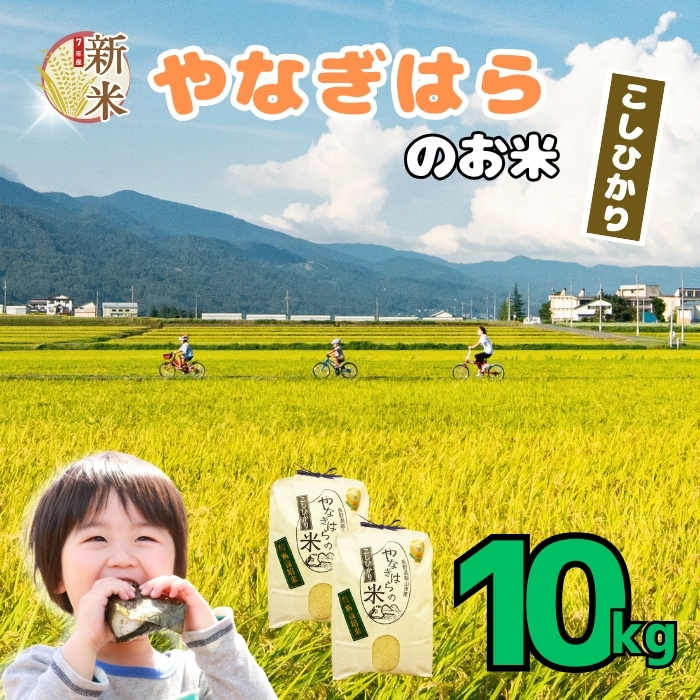 【先行予約】＜令和7年産新米＞特別栽培米 「やなぎはらの米 こしひかり」10kg (7-68)