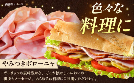 TESIOの自家製ハム＆ソーセージ 『手始めTESIOセット』 豚肉 ハム ソーセージ 小分け 真空パック 沖縄市 / TESIO[BCAD001]