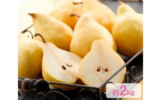 
                  【2026年先行予約】新潟県産 幻の洋梨ル・レクチェ 約2kg《11月下旬～配送予定》 果物 フルーツ 冬の味覚 産地直送 加茂市 えちご中越農業協同組合
                