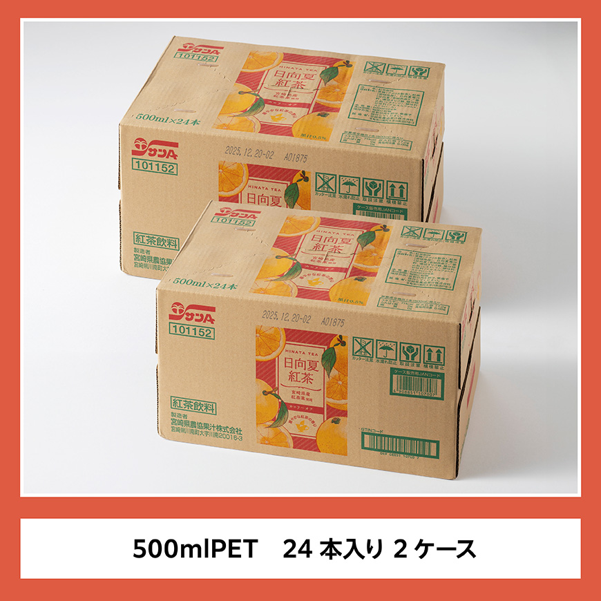 サンA 日向夏 紅茶 HINATA TEA 500mlＰＥＴ 24本入り × 2ケース 【飲料 日向夏 紅茶 PET ジュース 長期保存 送料無料】