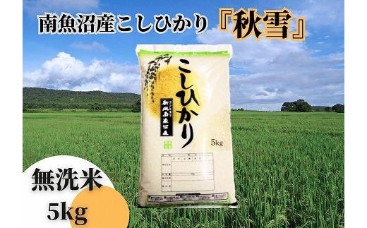 【令和8年産 新米予約 全３回定期便】南魚沼産コシヒカリ「秋雪」無洗米5kg×3回 新潟県の特A地区南魚沼市の美味しいお米【米 お米 こしひかり 南魚沼 米 無洗米 こめ 新潟 米】【2026年10月上旬より1ヶ月以内に順次発送予定】