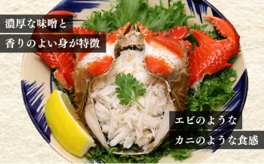 HRAGT-2 【数量・期間限定】宮崎県串間産アサヒガニ 特大サイズ約2kg(2~3匹) 日本では大変希少な国産アサヒガニ !【合同会社Houryoumaru】