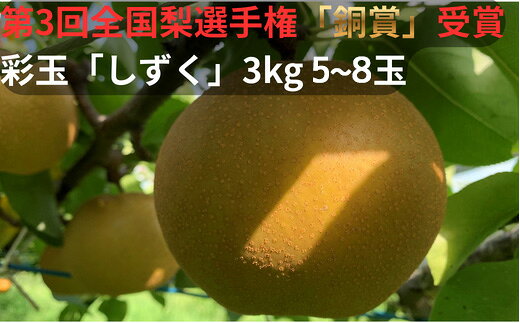 【ふるさと納税】R9先行予約 彩玉 3kg 5～8玉 「しずく」 全国梨選手権 銅賞受賞 アルファイノベーション株式会社 | 埼玉県 白岡市