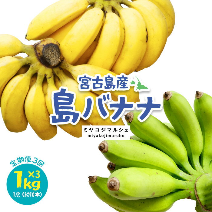 【ふるさと納税】宮古島産バナナ1kg（定期便3回）(JH009）