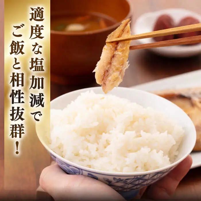 【全3回定期便】【訳あり】 干物 セット [JAQ021] ひもの