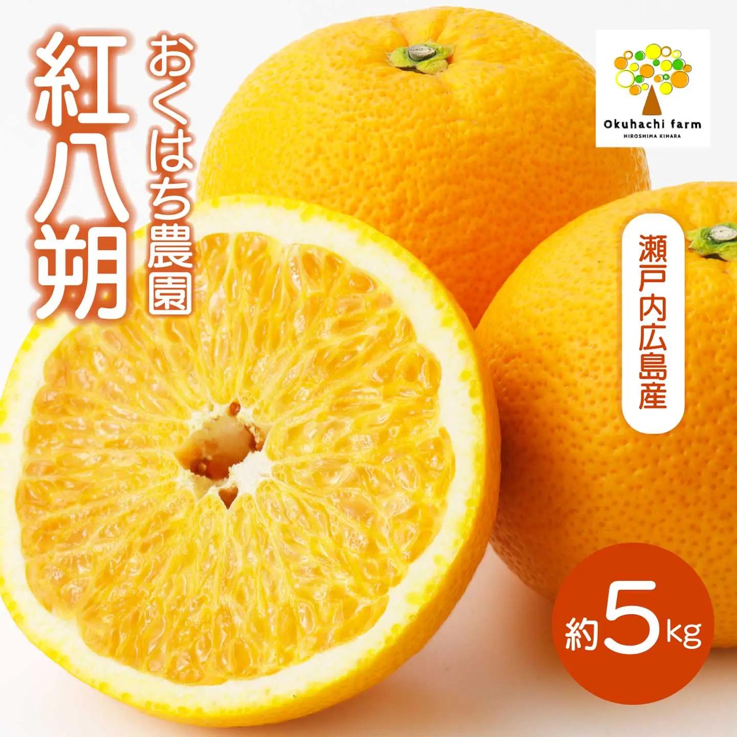 紅八朔 5kg 《2027年2～3月発送予定》栽培期間中 防腐剤 ワックス 不使用 おくはち農園 旬 柑橘 かんきつ はっさく フルーツ 果物 瀬戸内 166029 