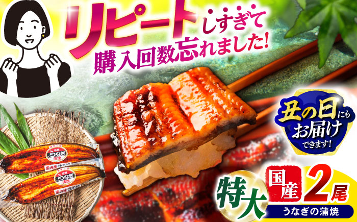 【最速発送】＜諫早淡水＞特大うなぎ蒲焼2尾 / うなぎ ウナギ 鰻 特大 蒲焼き 蒲焼 国産 冷凍 うな重 うな丼 ひつまぶし / 諫早市 / 活うなぎ問屋 諫早淡水 [AHAT014] スピード 最短 最速 発送