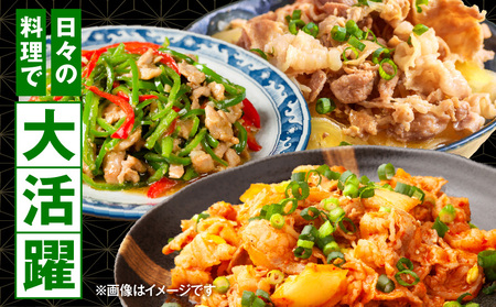宮崎県産豚肉小間切れ 200g×10パック 肉 豚肉 国産