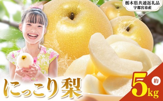 【2026年先行予約】栃木県産 梨 にっこり 5kg |ニッコリ なし ナシ 完熟 果物 フルーツ プレゼント ご褒美 お取り寄せ 贈答 おいしい ジューシー 数量 限定 栃木県産 栃木県 真岡市 減農薬 送料無料 【栃木県共通返礼品 宇都宮市産】