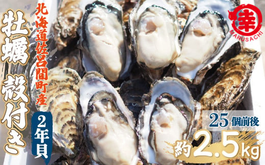 
            カキ 殻付き 2年貝 約2.5kg（25個前後） 佐呂間産 【 ふるさと納税 人気 おすすめ ランキング 牡蠣 カキ かき 貝 牡蠣貝 かき貝 カキ貝 殻付き 殻付 殻付き牡蠣 殻付きカキ 殻 グルメ ギフト 贈答 贈り物 BBQ バーベキュー 貝類 冷蔵 海鮮 オホーツク 北海道 佐呂間町 送料無料 】 SRMA002
          