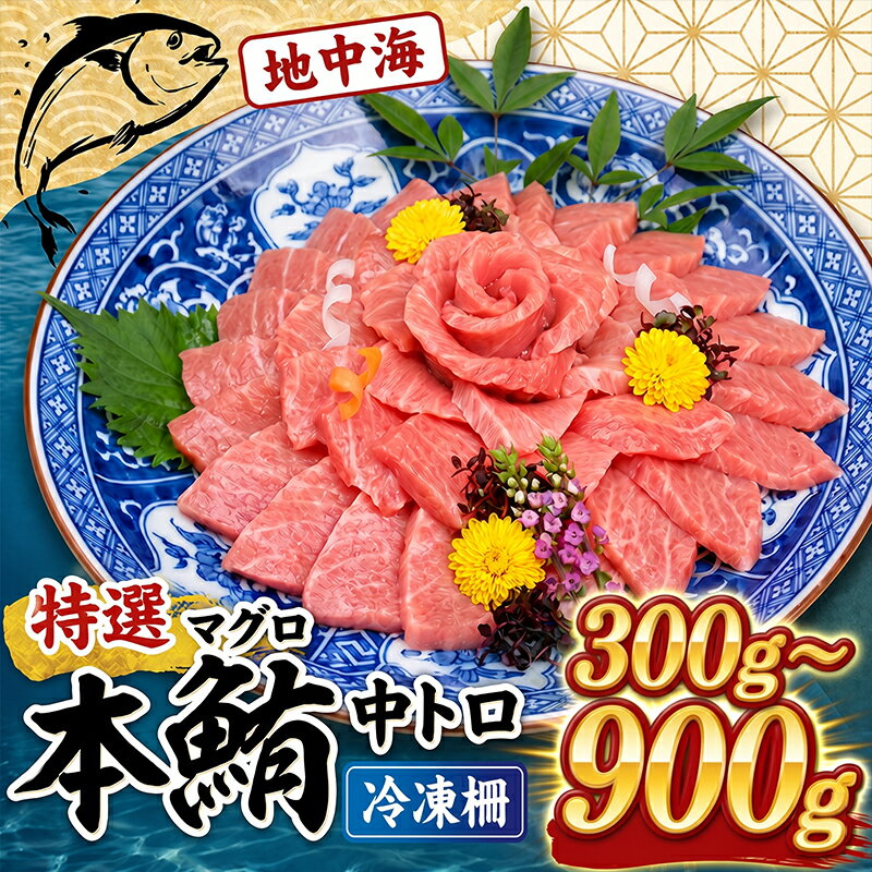 【ふるさと納税】 厳選 本マグロ 中とろ 冷凍 柵 約300g ~ 900g まぐろ 鮪 刺身 お刺身 ふるさと納税魚介 寿司 惣菜 海鮮丼 魚介類 ふるさと納税まぐろ 訳あり ふるさと納税海鮮 漬け丼 不揃い マグロ 規格外 訳あり ワケアリ 人気 賞味期限が短い 簡易包装 高知県 室戸市