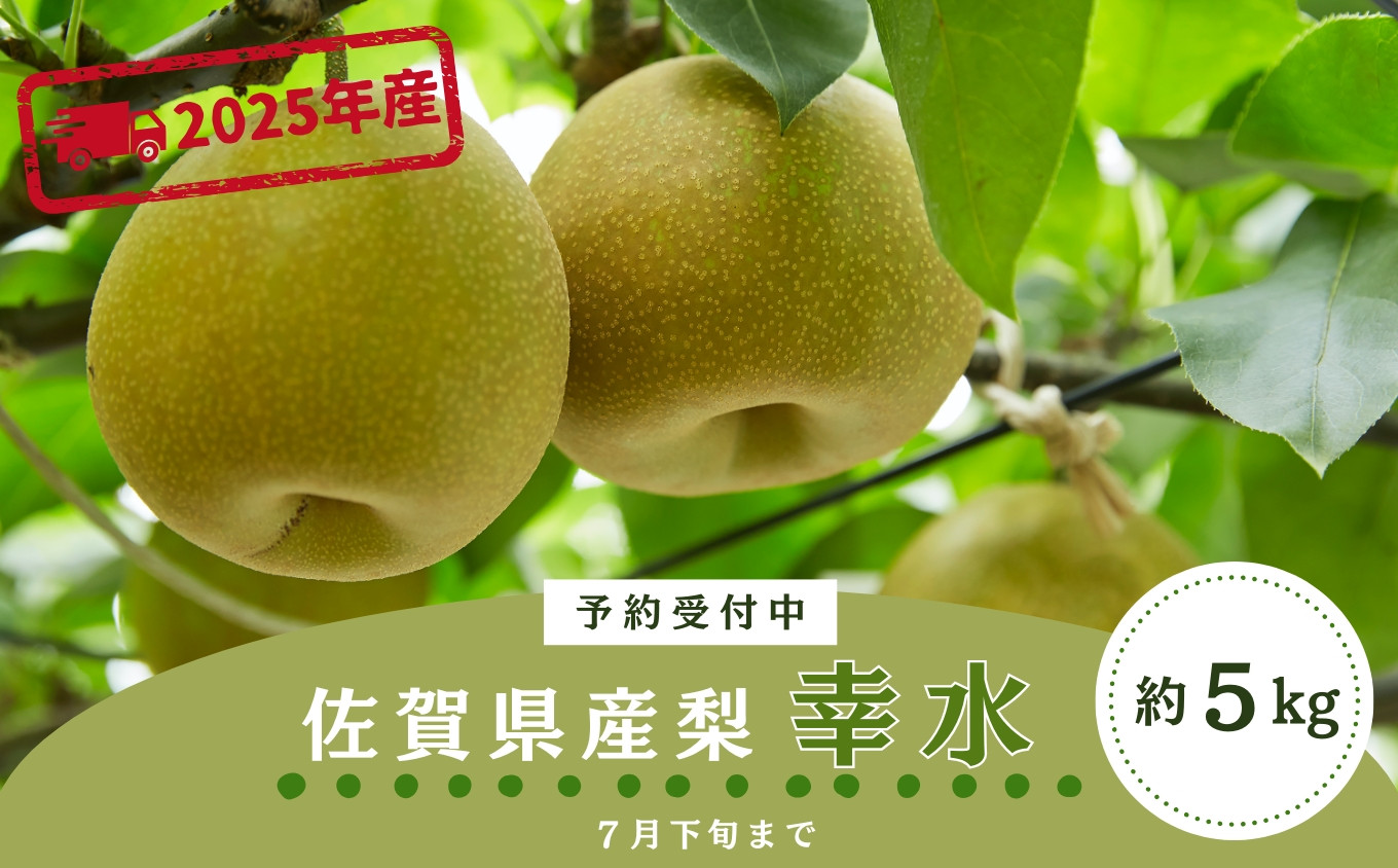 
            ＜先行予約受付中・令和7年7月下旬以降順次発送＞佐賀県産 梨（幸水）5.0㎏［A0128-A04］
          