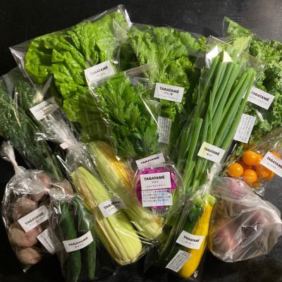 ふるさと納税 さぬき市 【毎月定期便】さぬき市小田産の食を楽しむTAGATAMEのお任せお野菜セット7〜10品全12回 |  | 02