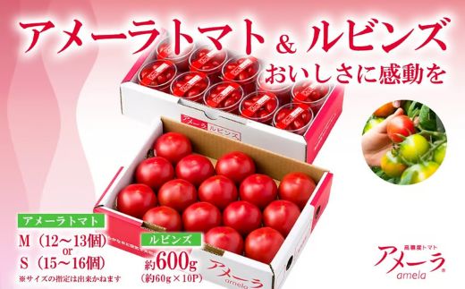 アメーラ＆ルビンズ10P