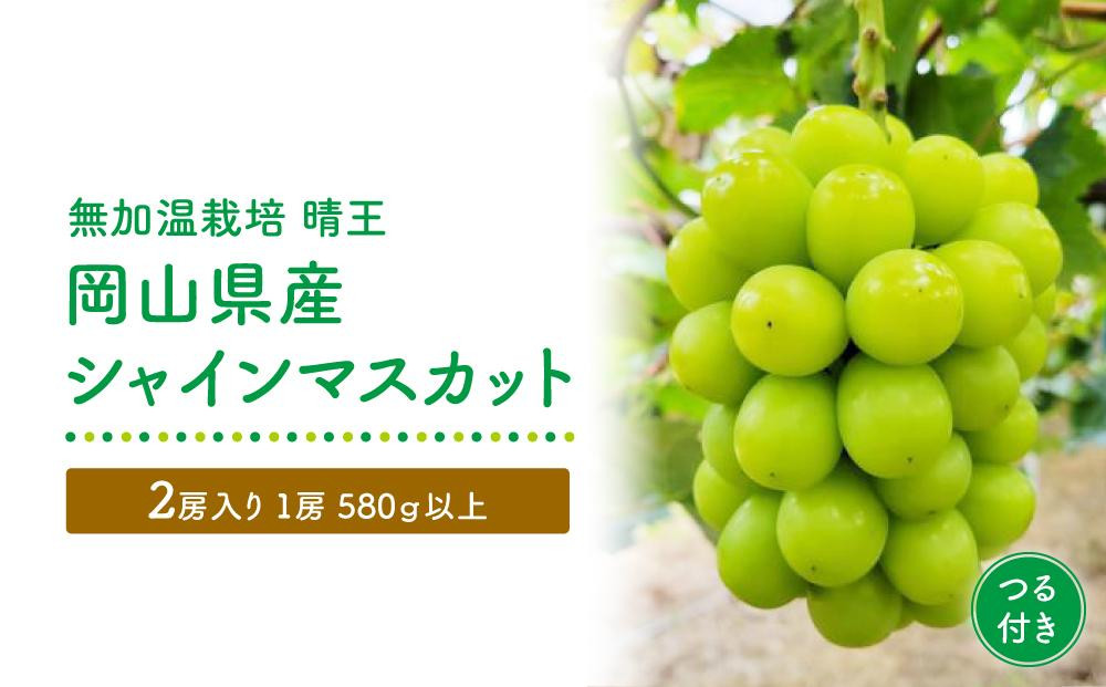 
            GV12　【無加温栽培（晴王）】岡山県産シャインマスカットつる付き2房入り（1房580ｇ以上）＜2025年発送＞【シャインマスカット シャイン マスカット 人気フルーツ 岡山フルーツ おすすめフルーツ 岡山県 倉敷市】
          