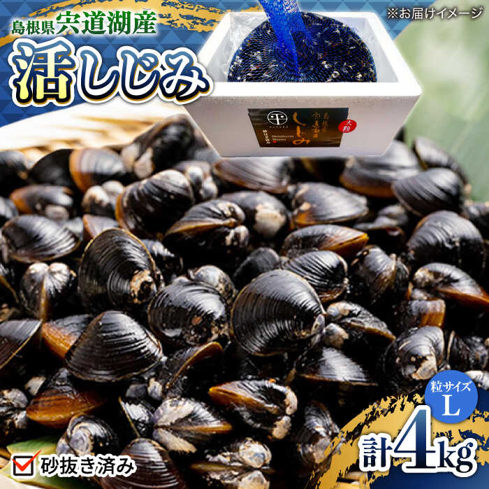 【ふるさと納税】しじみ 宍道湖産活大和しじみ大粒(L)4kg(砂はき済み) 島根県松江市/平野缶詰有限会社[ALBZ017]｜ しじみ シジミ 大和しじみ ヤマトシジミ しじみ汁 味噌汁 みそ汁 疲労回復 肝臓 健康 健康食品 とれたて おすすめ 人気 ギフト 贈答 贈り物 島根 松江