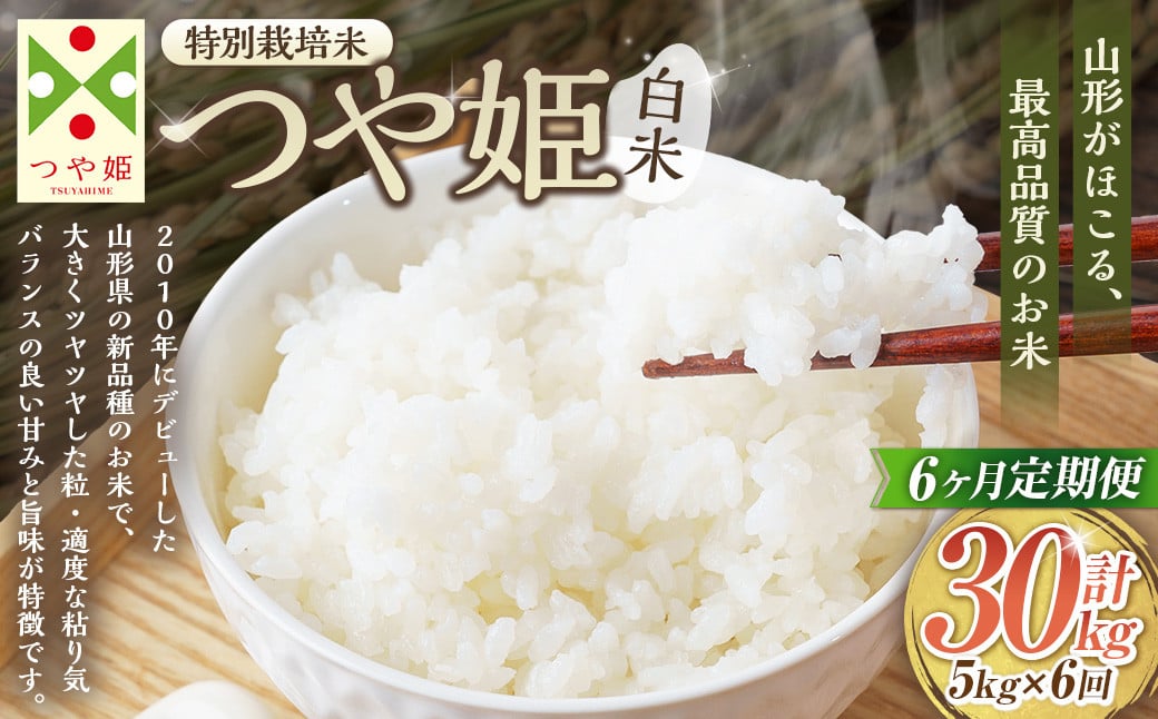 
            【6ヶ月定期便】【令和7年産新米】〈白米〉 つや姫 5kg×6回（特別栽培米） 山形県産 しらたかのお米 【2025年11月上旬発送開始予定】
          