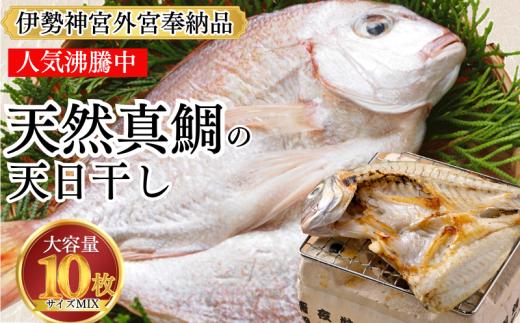 岬だよりの大人気 天然真鯛の干物　10枚セット