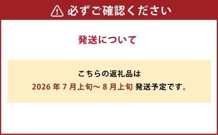 ぶどう 2024年 先行予約 シャイン マスカット ［晴王］2房入り（1房 580g以上 加温栽培）つる付き ブドウ 葡萄  岡山県産 国産 フルーツ 果物 ギフト