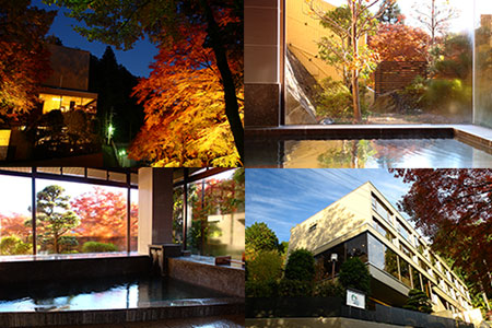 下呂温泉 【ゆらぎの里 ひだ山荘】宿泊補助券（12,000円分）宿泊券 温泉 旅行 旅館【a015-4】