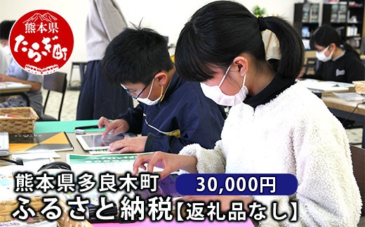 
熊本県多良木町への寄附（返礼品はありません）【 ふるさと納税 熊本県 多良木町 応援 寄附 】 028-0344-30
