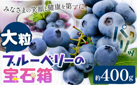 【2026年先行予約】ブルーベリー 大粒 計400g (100g×4パック) 大粒ブルーベリーの宝石箱 かさおか青空ファーム 《2026年6月上旬-8下旬頃出荷》 岡山県 笠岡市 送料無料 フルーツ 果物 岡山県産 国産 ブルーベリー お取り寄せ st-p