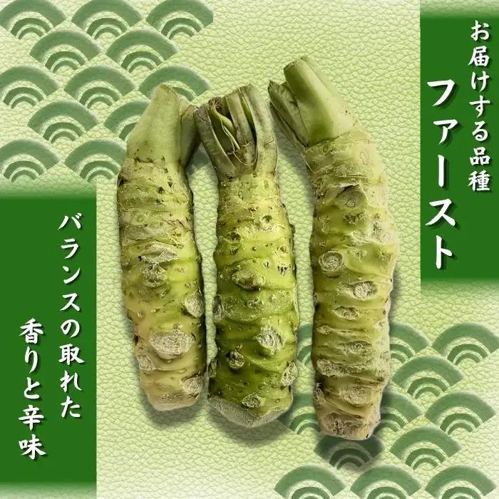栽培期間中 農薬 化学肥料 不使用 国産 わさび 約 50g 4本 総量 200g 【雫石わさび苑】 野菜 やさい 香味野菜 山葵 ワサビ 生わさび 生ワサビ 生山葵 薬味 産地直送 日本産 新鮮 調