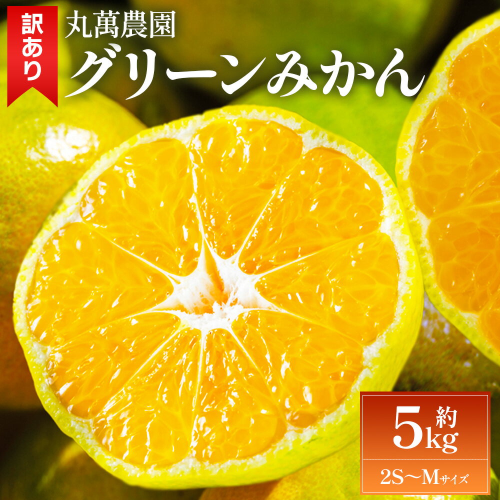 【ふるさと納税】【2026年出荷分】グリーンみかん(2S～Mサイズ) 5kg 家庭用 - 訳あり 訳アリ品 ミカン 柑橘 爽やか 酸味 甘酸っぱい 蜜柑 キズ ご家庭用 ご自宅用 くだもの フルーツ 果物 果実 丸萬農園 高知県 香南市【常温】mn-0016