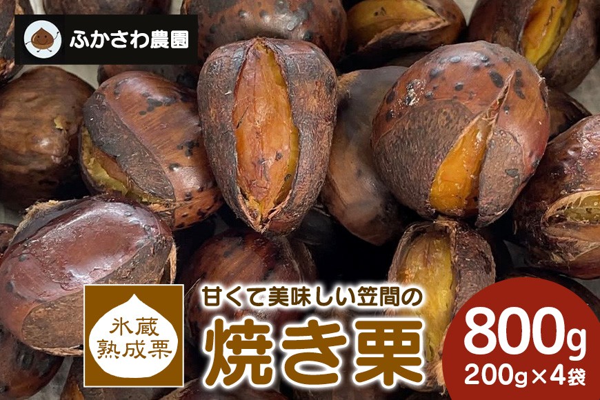 
            焼き栗 氷蔵熟成栗で甘み倍増 甘くて美味しい笠間の焼き栗 800g(200g×4袋) ふかさわ農園 笠間の栗ブランド認証栗 栗 くり 熟成 氷蔵 800g 10月10日以降発送予定 笠間市 茨城県 いばらき
          