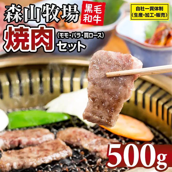 【ふるなびWEEK対象】森山牧場 焼肉セット 500g 焼肉 牛肉 B125-007