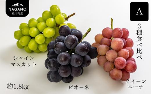 KG08-25A ぶどう食べ比べセット 3種 A（シャインマスカット／ピオーネ／クイーンニーナ）約1.8kg【数量限定】/ 9月下旬頃〜発送予定 // 長野県 南信州 松川町 種なし 皮ごと 食べ比べ 詰め合わせ 産地直送 農家直送 贈答 新鮮 シャイン ニーナ ピオーネ 希少 果物 フルーツ