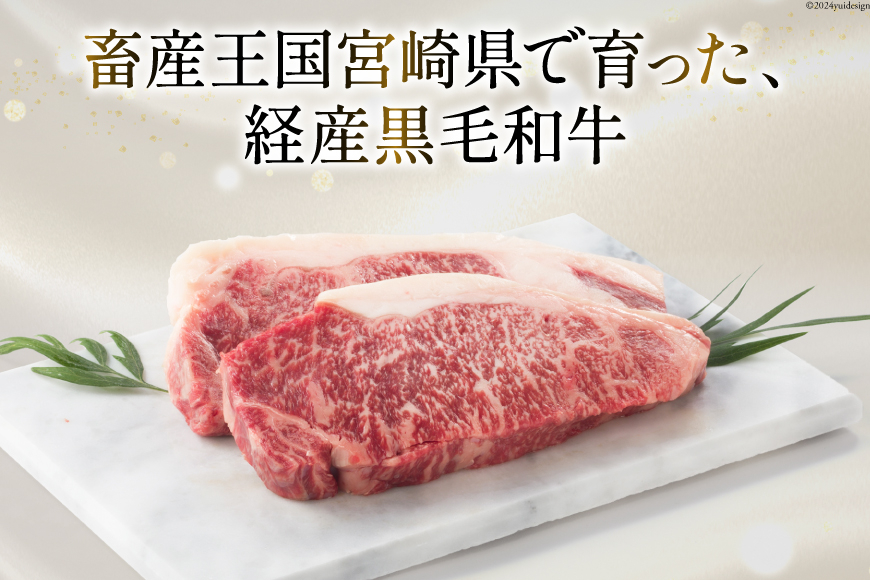5回 定期便 宮崎県産 黒毛和牛 サーロイン ステーキ 300g ×3×5ヶ月 合計4.5kg [サンアグリフーズ 宮崎県 美郷町 31ba0034] 小分け 冷凍 送料無料 国産 牛 肉 霜降り B