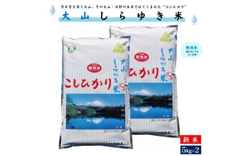 【３～７営業日以内に出荷】令和7年産 新米 大山しらゆき米10kg（無洗コシヒカリ・5kg×2）