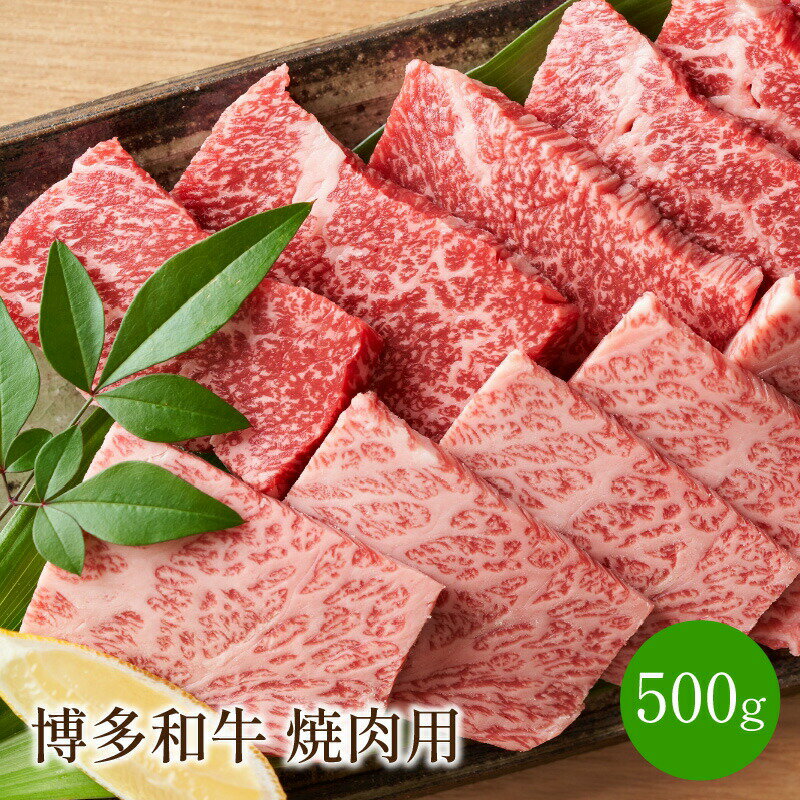 【ふるさと納税】博多和牛焼肉用 500g【014-0027】