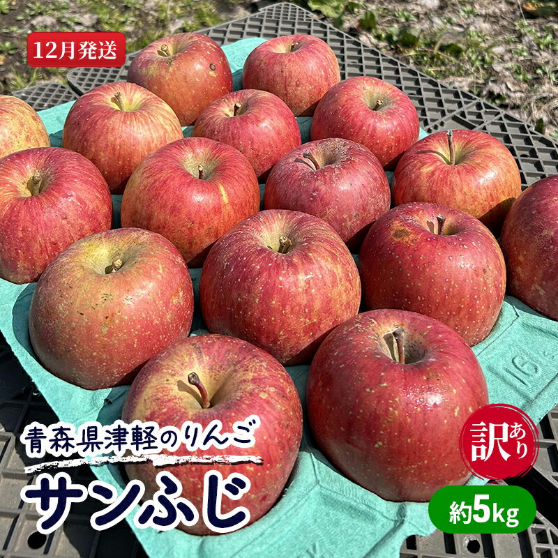 【ふるさと納税】【12月発送】【訳あり】青森県津軽のりんご「サンふじ」約5kg【里いちみfarm】 　お届け：2025年12月1日～2025年12月25日