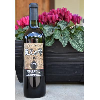 ふるさと納税 茅野市 原種山葡萄ワイン「縄文の雫」　720ml×1本