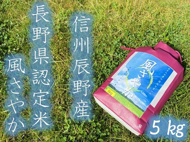 
275 【県認証米】☆風さやか5kg☆　令和６年度新米
