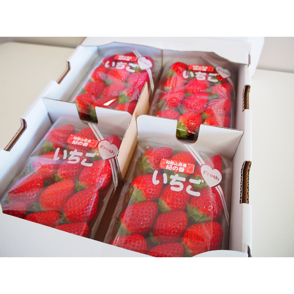紀州和歌山ブランドいちご「紀の香」約250g×4P ［UT143］ XF91191_イメージ3