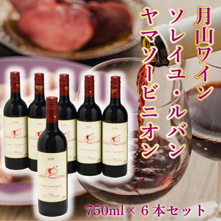 【ふるさと納税】食の都庄内 月山ワイン ソレイユ・ルバン ヤマソービニオン 750ml×6本セット 赤 辛口 ワイン 果実酒 ブドウ ぶどう 葡萄 山形 ふるさと納税