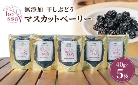 無添加 干しぶどう ボッサの干しぶどう 40g×5袋 マスカットベーリーA（種あり）国産 レーズン ドライフルーツ 砂糖不使用/富山県黒部市 果物加工品 フルーツ加工品 甘さ控えめ おつまみ ポリフェノール