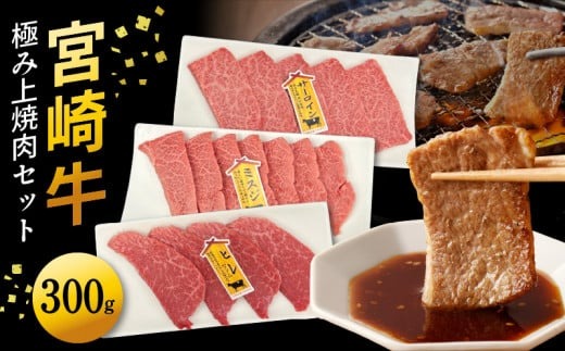 宮崎牛極み上焼肉セット 合計 300g　N0140-YB086