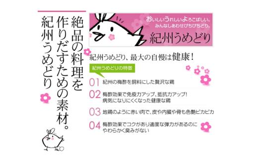 M167　紀州うめどりむね切身　２００ｇｘ１３