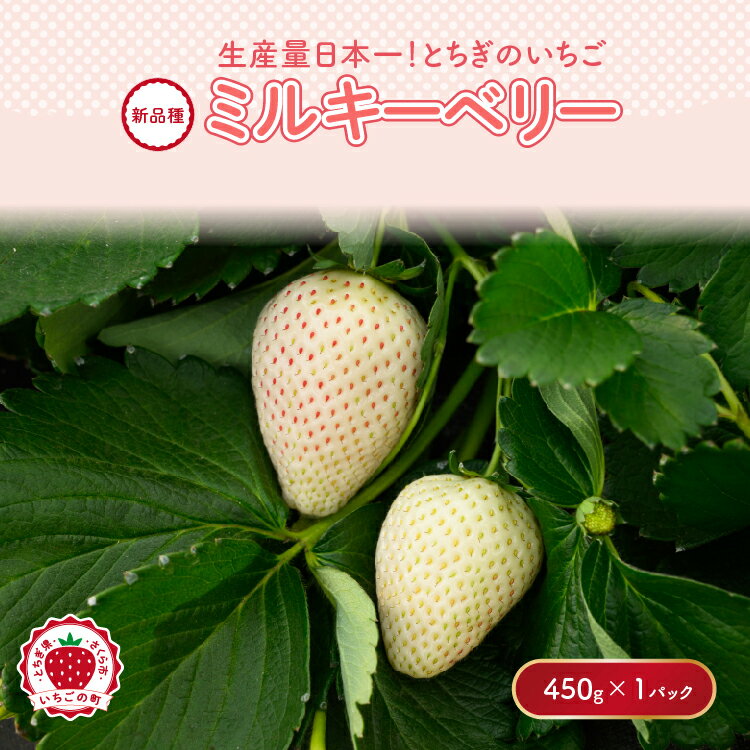 【ふるさと納税】《数量限定》【先行予約】いちご ミルキーベリーセット 450g×1パック ｜いちご イチゴ 苺 先行予約 栃木県 とちぎ さくら 果物 くだもの フルーツ デザート スイーツ 希少 ミルキーベリー 新鮮 贈答 ギフト 高級 ※2026年1月中旬～4月中旬頃に順次発送予定