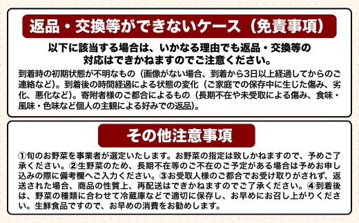 【先行予約・2月～3月にお届け】 季節の野菜 詰め合わせセット (野菜6～8品目) 夢叶野菜ボックス | 新鮮 産地直送 旬 国産 葉物 根菜 おすすめ 人気 野菜詰め合わせ 野菜セット 春野菜 夏野