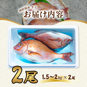 タイ 神経締め 2尾 計約4kg 鯛 たい 真鯛 マダイ 鮮魚 産地直送 冷蔵 養殖 国産