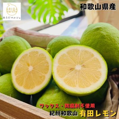 ふるさと納税 湯浅町 ≪先行受付・2026年9月末〜発送≫【国産】紀州和歌山　有田レモン　3kg