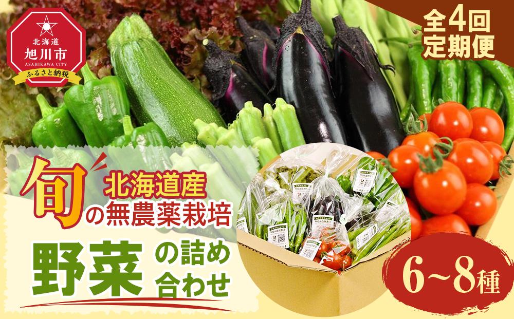 【2026年先行予約】7・8・9・10月　計4回定期便　北海道産旬の無農薬栽培　野菜の詰め合わせ7～10種類 【 サニーレタス 水菜 チンゲンサイ さやえんどう スナップエンドウ さやいんげん ささぎ豆 春大根 ズッキーニ なす トマト きゅうり ししとう なんばん オクラ カボチャ じゃがいも にんじん 北海道産 無農薬栽培 野菜セット 季節の野菜 新鮮 お取り寄せ 野菜ボックス 安全 安心 野菜直送 人気 旭川市 】_04702
