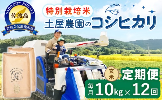 【12か月定期便】佐渡島産コシヒカリ 玄米 合計120kg（10kg（5kg×2袋）×毎月全12回）令和8年産 新米 特別栽培米 土屋農園 | 新潟県産コシヒカリ 新潟産コシヒカリ 佐渡産コシヒカリ 新潟県産こしひかり 佐渡産こしひかり お米 米 こしひかり 玄米 げんまい ブランド米 おこめ コメ 10キロ にいがた さど 新潟県 佐渡市